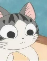 w起司猫甜甜私房猫