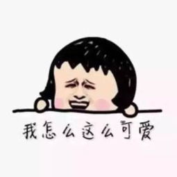 表情包520也算个节单身