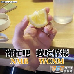 高级怼人表情包豆沙包