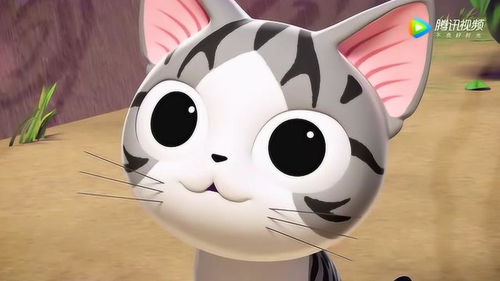 甜甜私房猫小奇想了好久终于想起了,可怜了大黑了