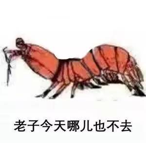 踢飞小海虾暴打蟹老板原来我对皮皮虾的威力一无所知